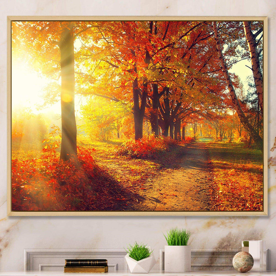 Autumnal Trees in Sunrays
