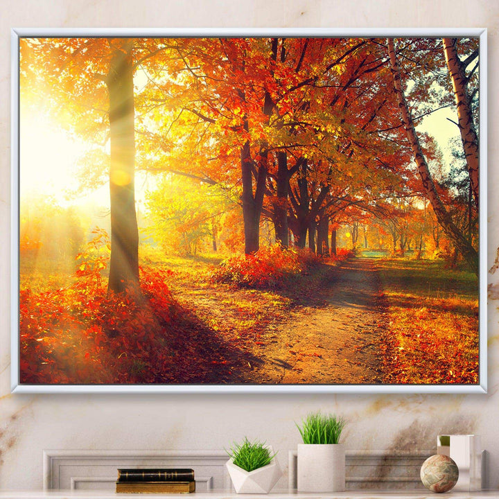 Autumnal Trees in Sunrays