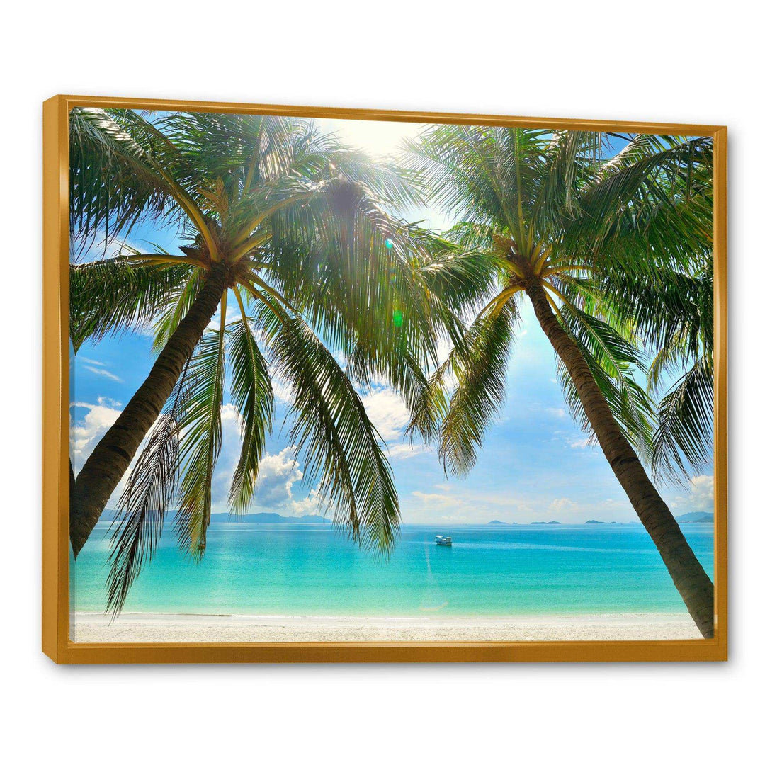 Palm Hanging over Sandy White Beach