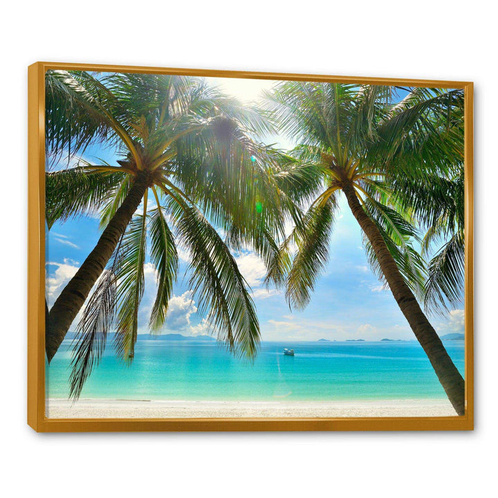 Palm Hanging over Sandy White Beach