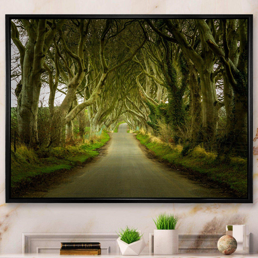 Dark Hedges Road through Old Trees