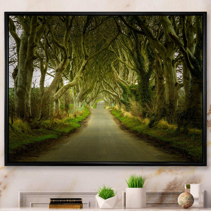 Dark Hedges Road through Old Trees