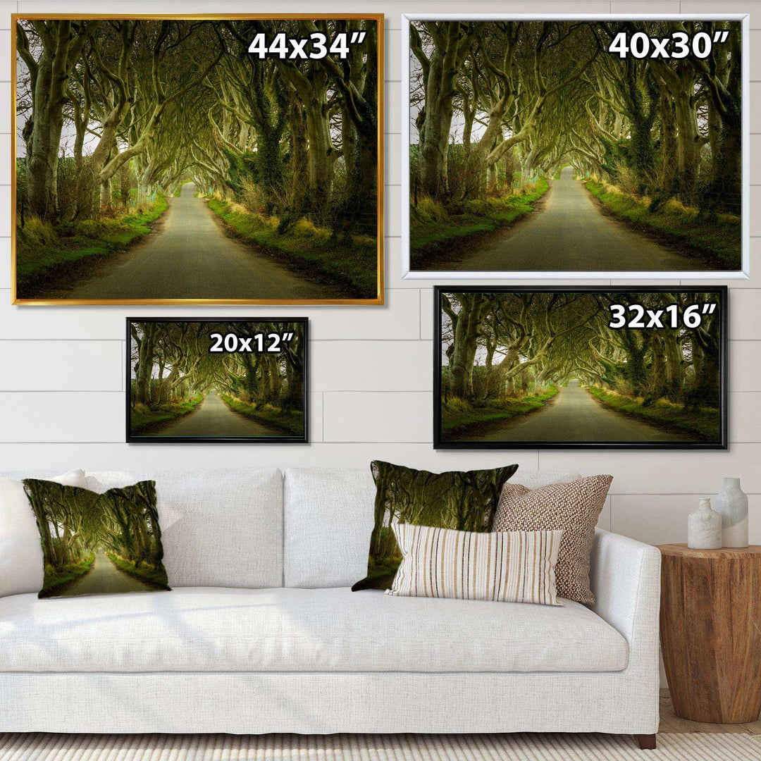 Dark Hedges Road through Old Trees