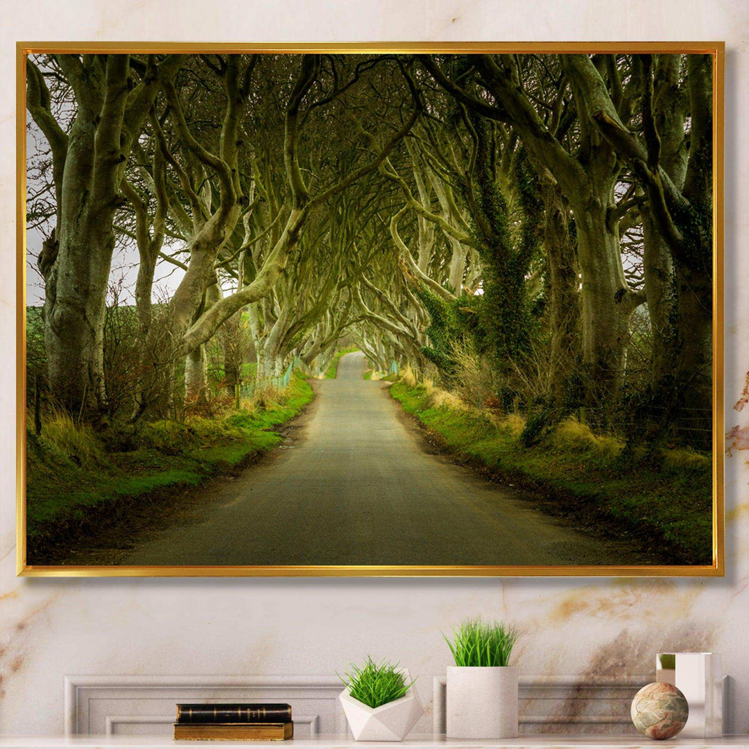 Dark Hedges Road through Old Trees