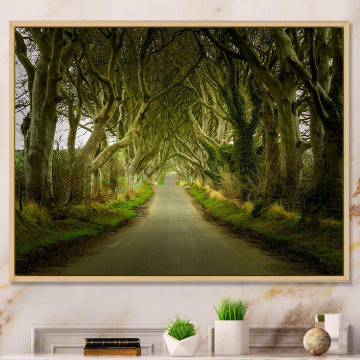 Dark Hedges Road through Old Trees