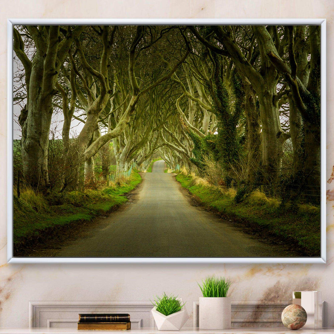 Dark Hedges Road through Old Trees