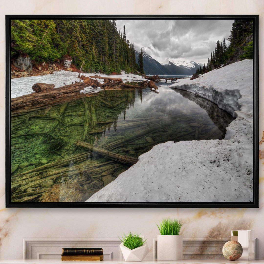 Crystal Clear Lake with Pine Trees