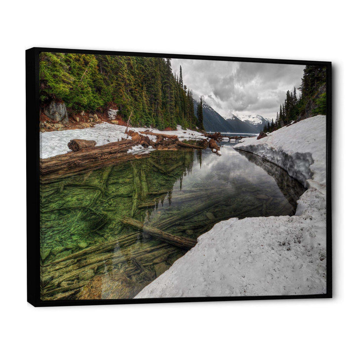 Crystal Clear Lake with Pine Trees