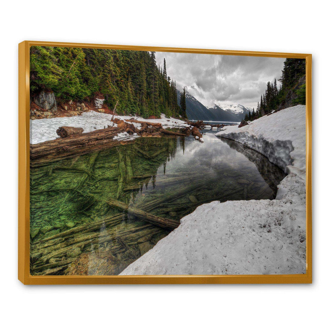 Crystal Clear Lake with Pine Trees