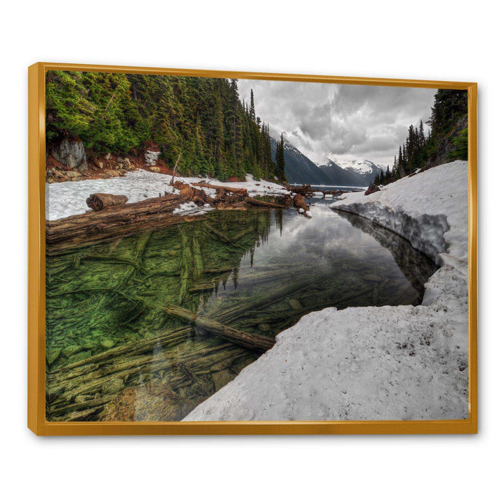 Crystal Clear Lake with Pine Trees