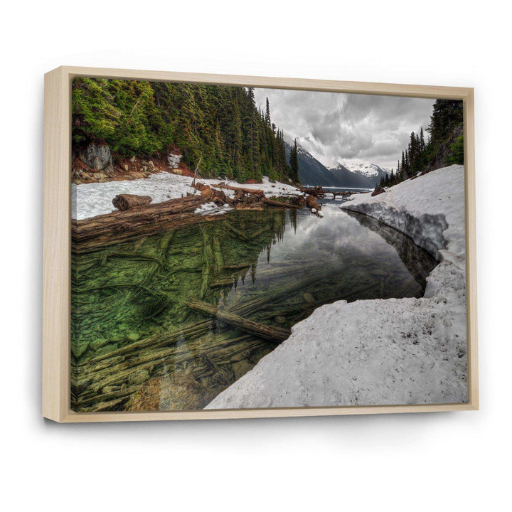 Crystal Clear Lake with Pine Trees