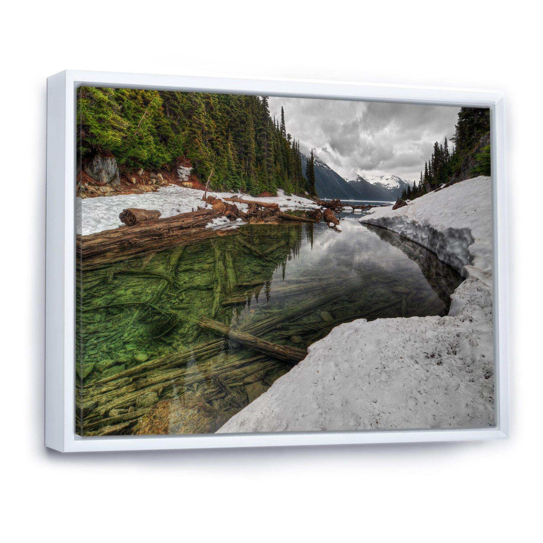 Crystal Clear Lake with Pine Trees