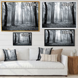 Black and White Foggy Forest