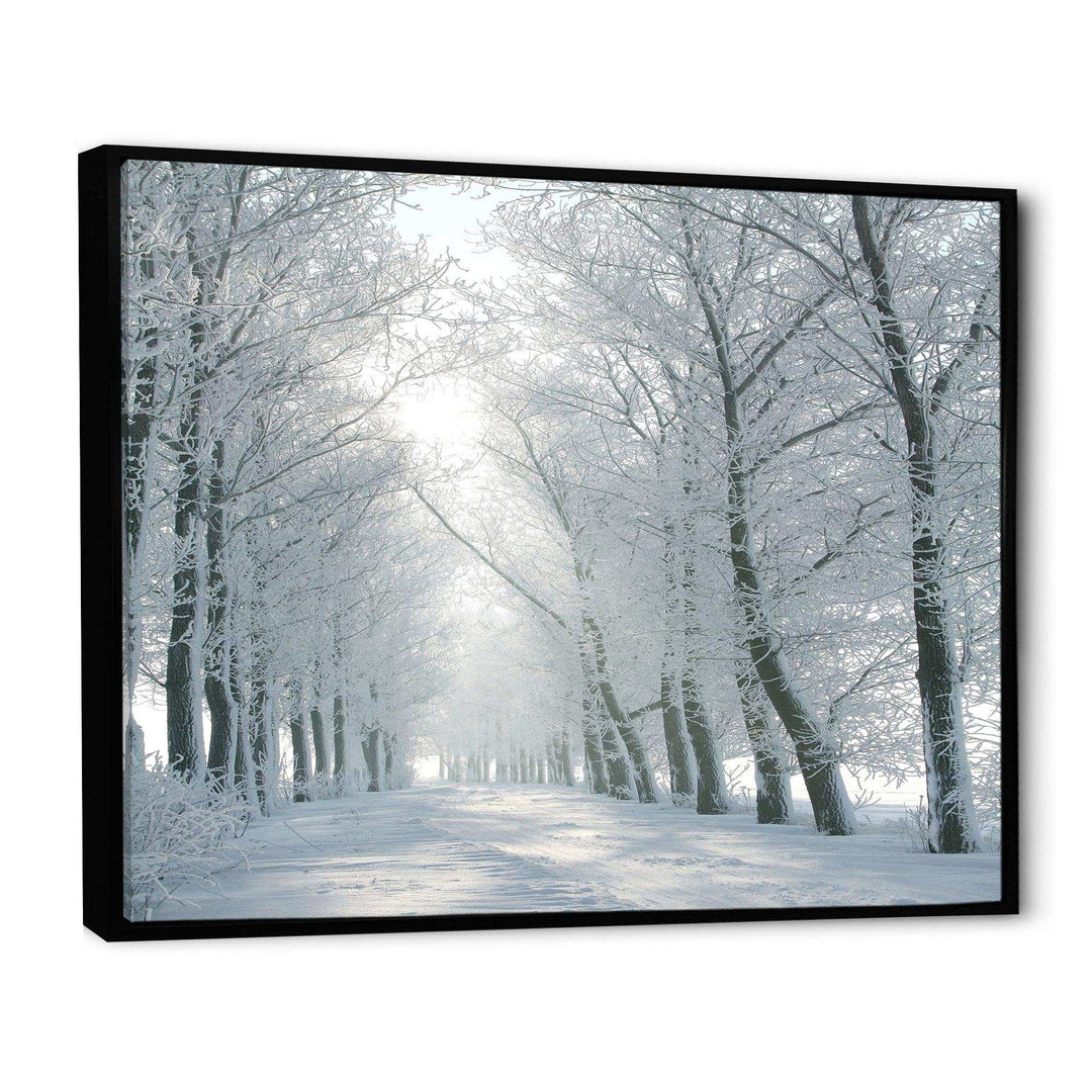 Winter Road Backlit my Morning Sun