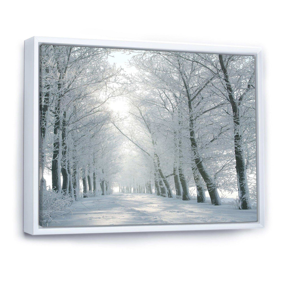 Winter Road Backlit my Morning Sun