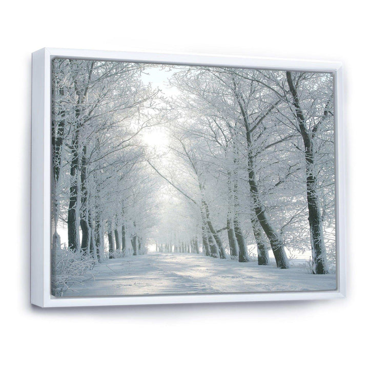 Winter Road Backlit my Morning Sun