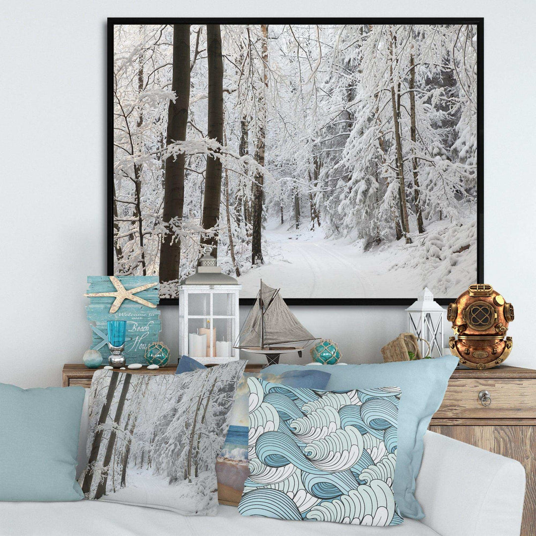 Dense Winter Forest and Lane
