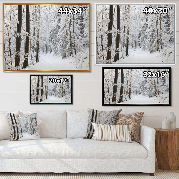 Dense Winter Forest and Lane