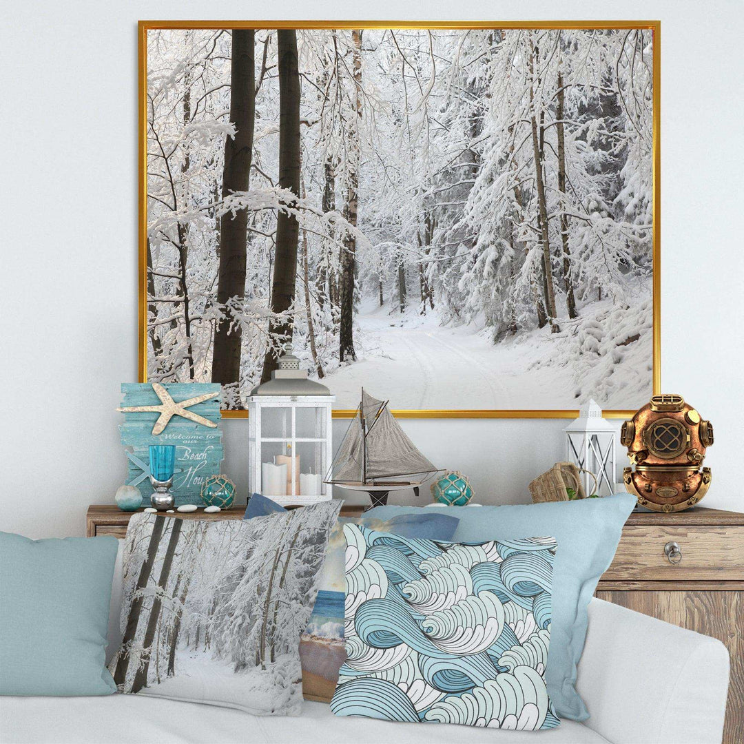 Dense Winter Forest and Lane