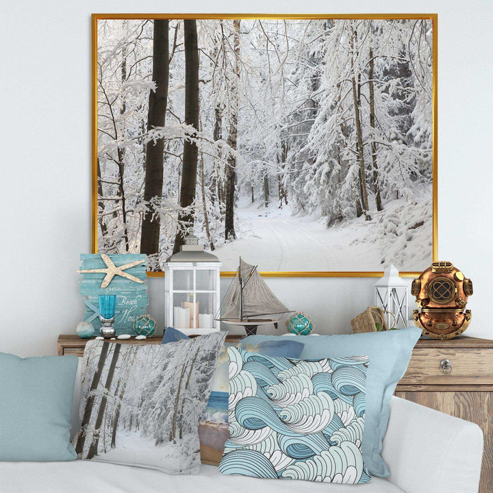 Dense Winter Forest and Lane