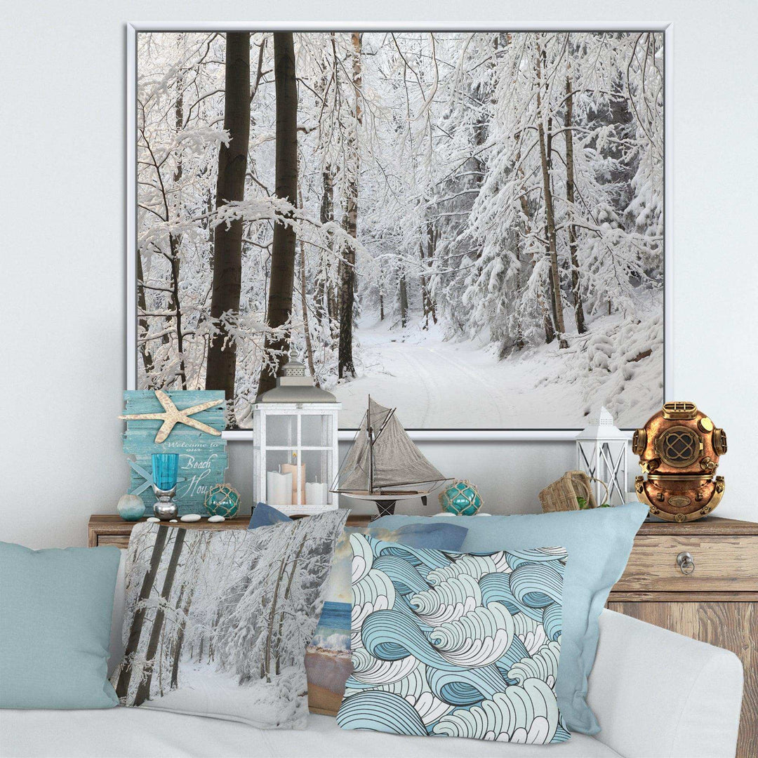 Dense Winter Forest and Lane