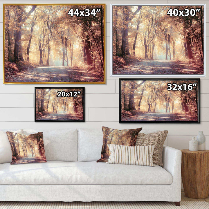 Golden Autumn Beautiful Forest