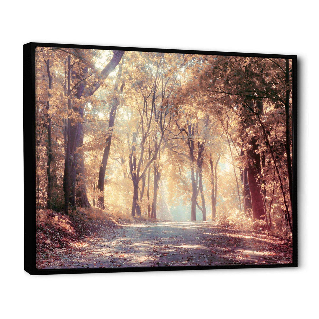 Golden Autumn Beautiful Forest