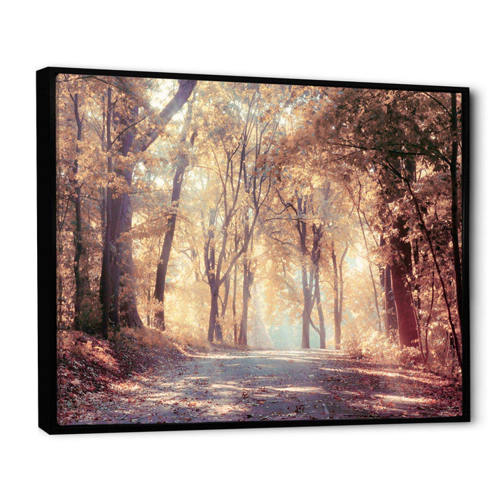 Golden Autumn Beautiful Forest