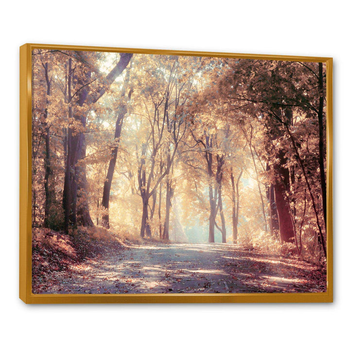 Golden Autumn Beautiful Forest