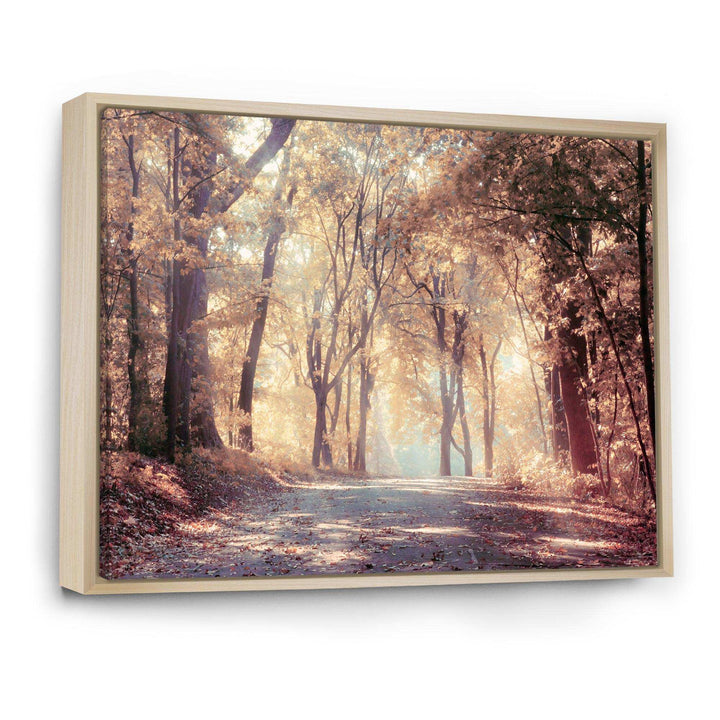 Golden Autumn Beautiful Forest