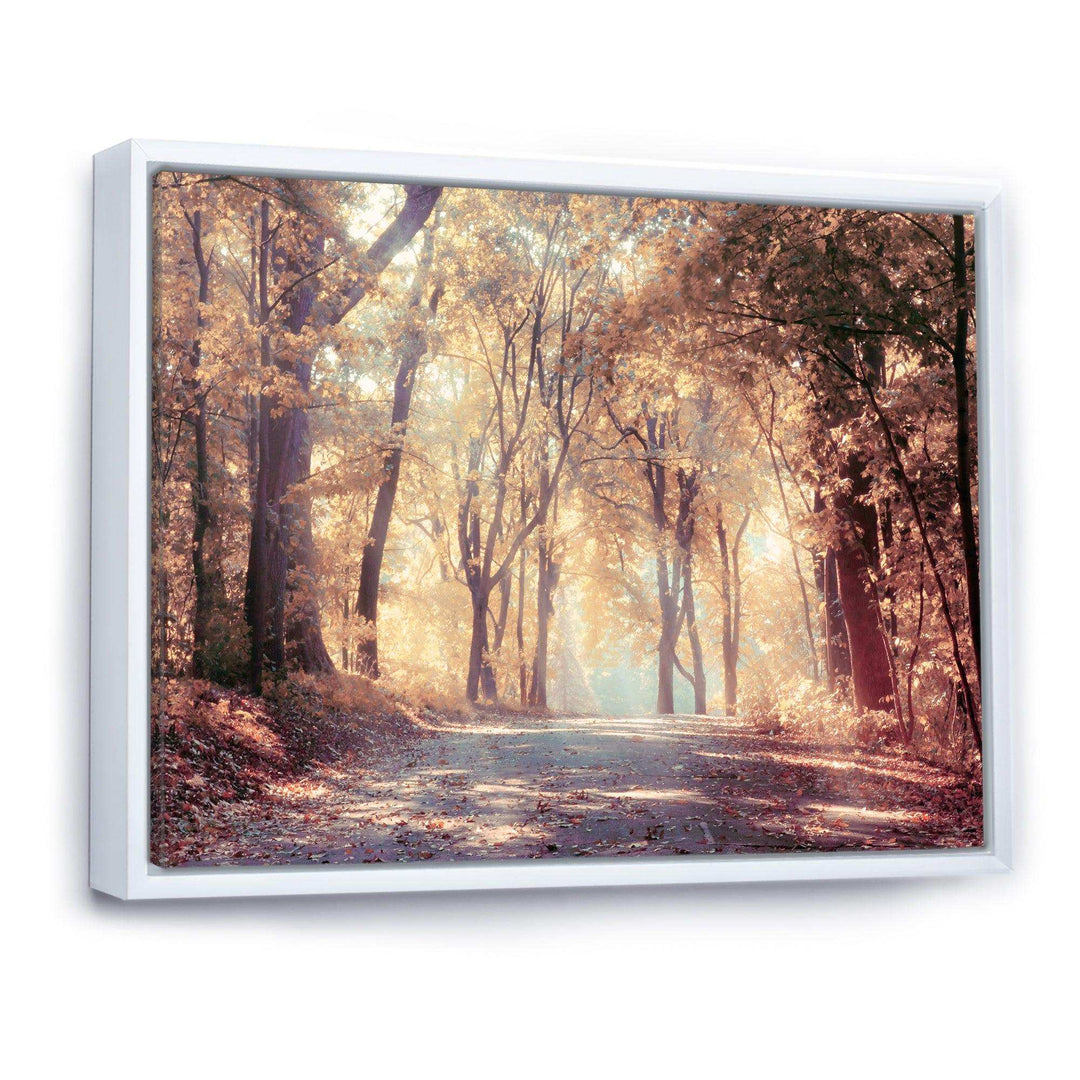 Golden Autumn Beautiful Forest