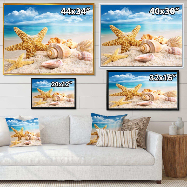 Starfish and Seashells on Beach