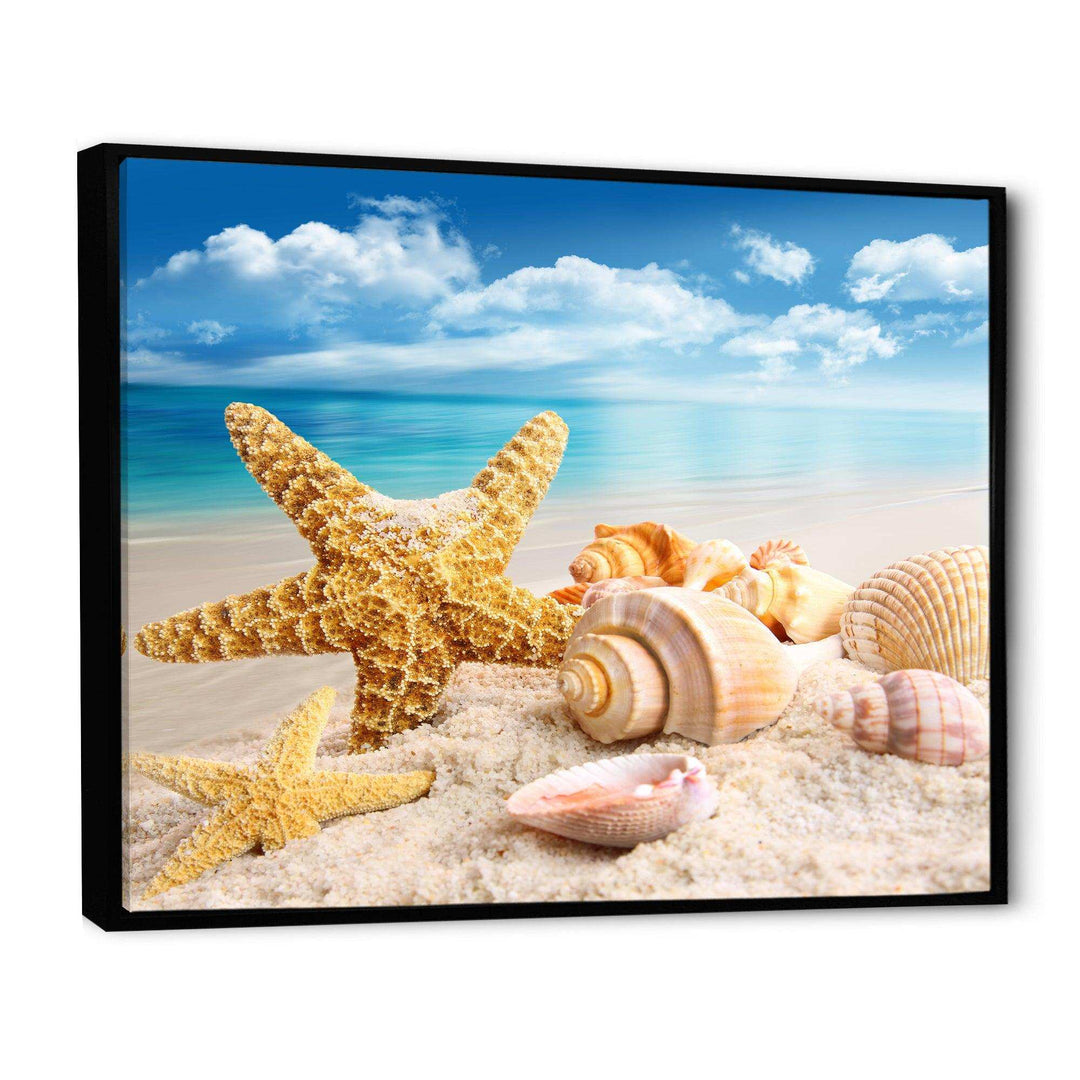 Starfish and Seashells on Beach