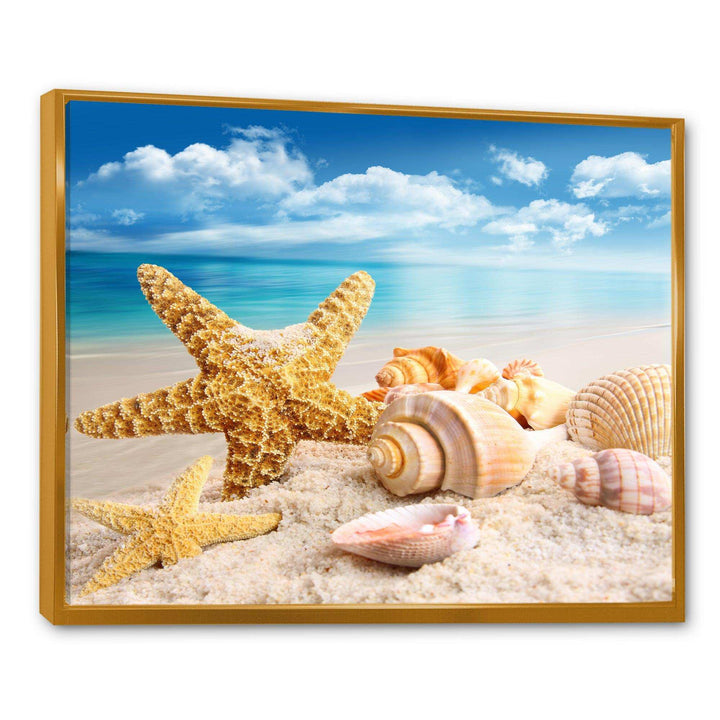 Starfish and Seashells on Beach