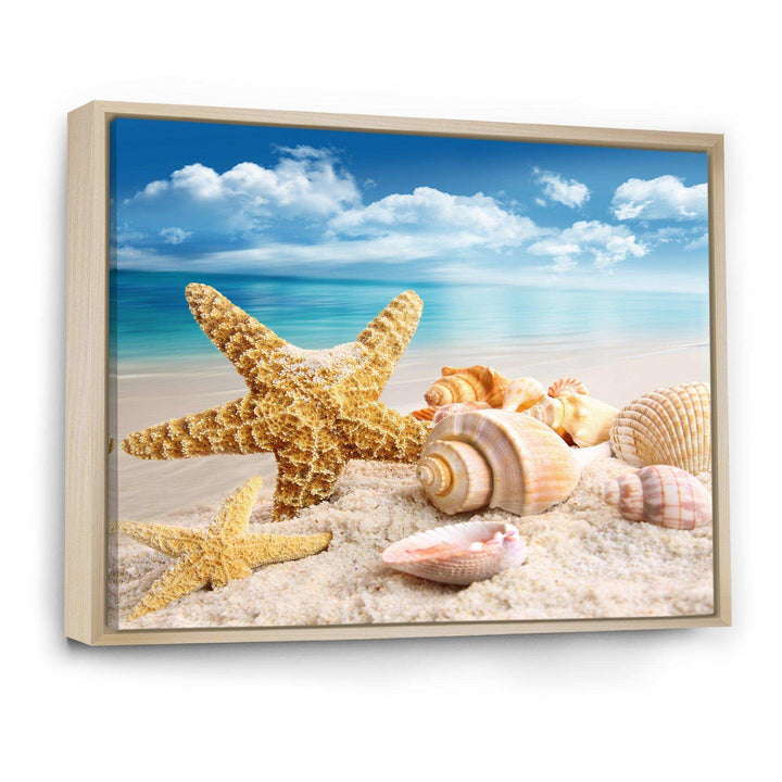 Starfish and Seashells on Beach