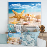 Starfish and Seashells on Beach