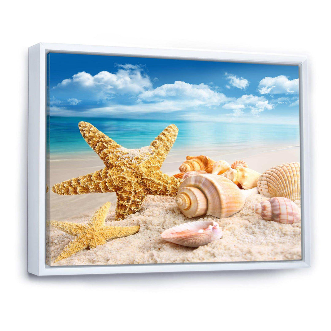 Starfish and Seashells on Beach