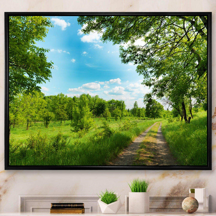 Green Forest Road and Blue Sky