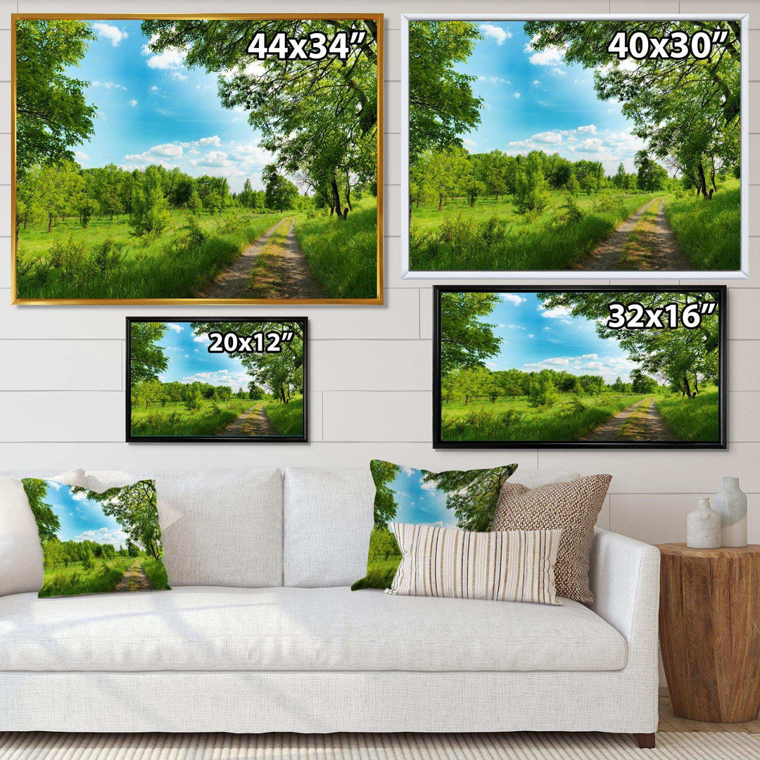 Green Forest Road and Blue Sky
