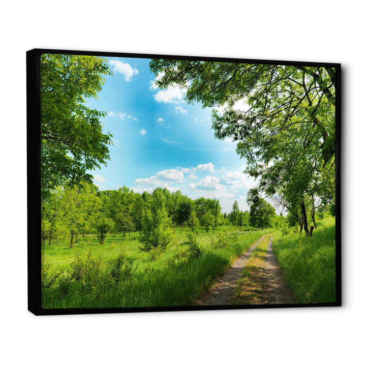 Green Forest Road and Blue Sky