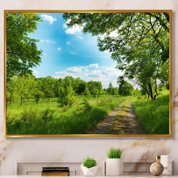 Green Forest Road and Blue Sky