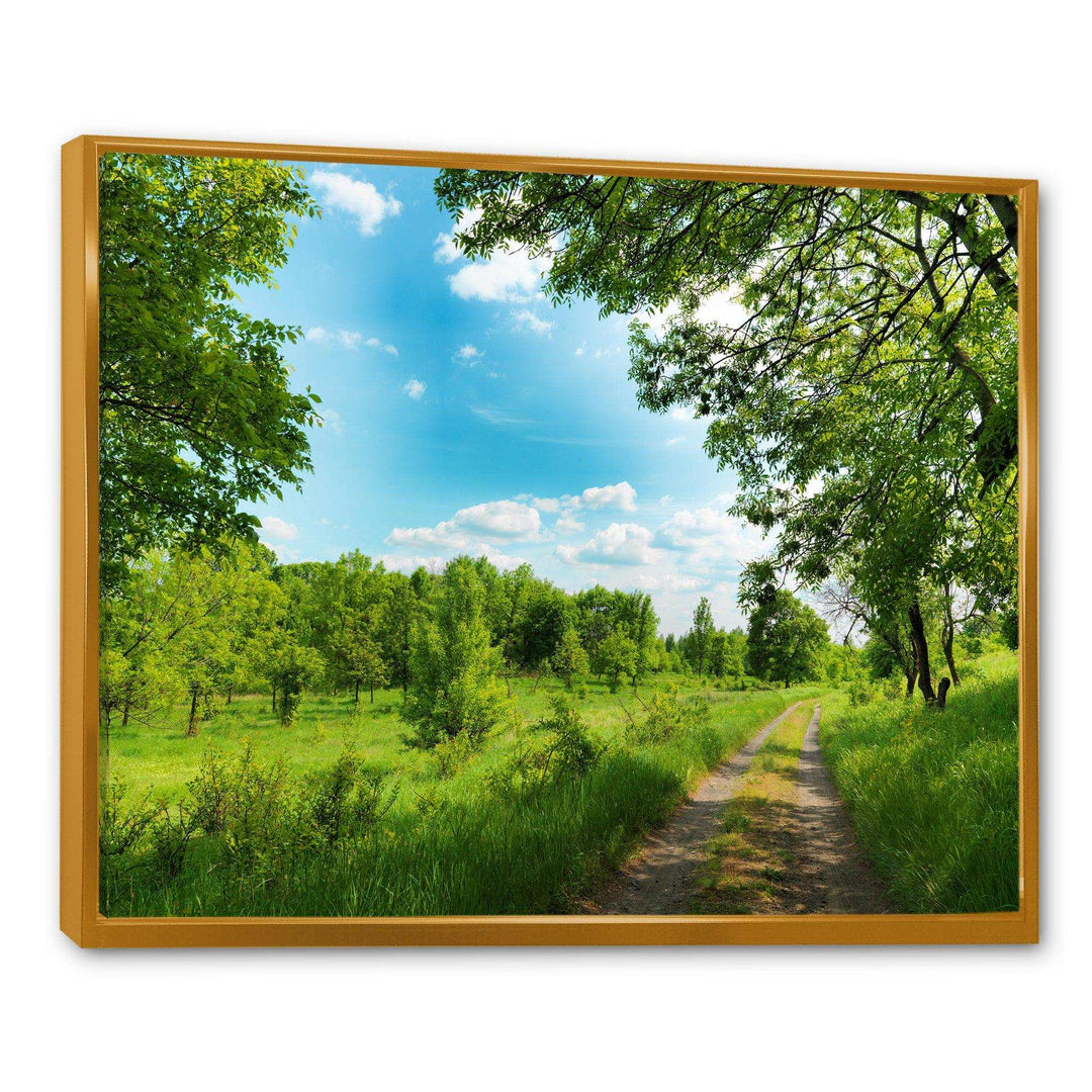 Green Forest Road and Blue Sky