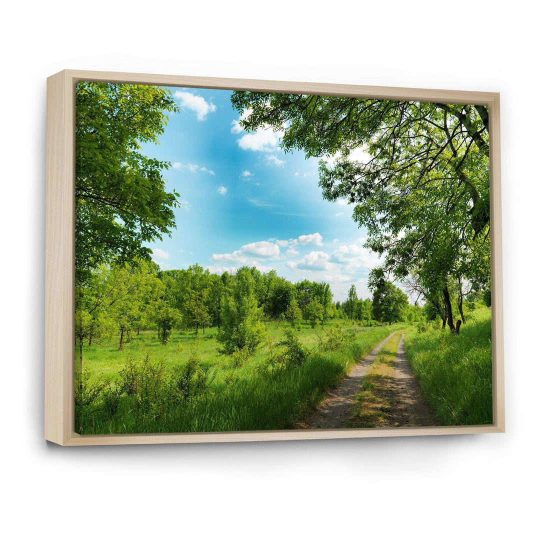 Green Forest Road and Blue Sky