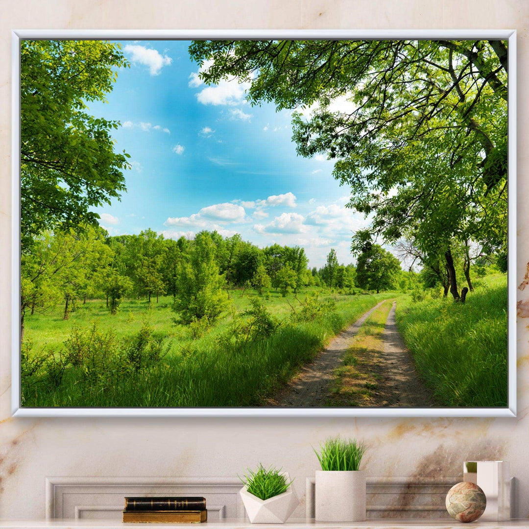 Green Forest Road and Blue Sky