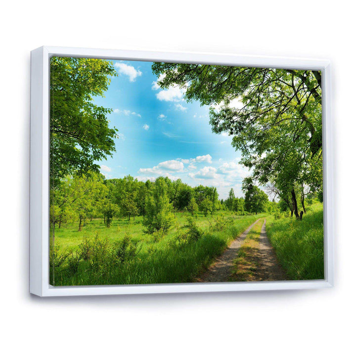 Green Forest Road and Blue Sky