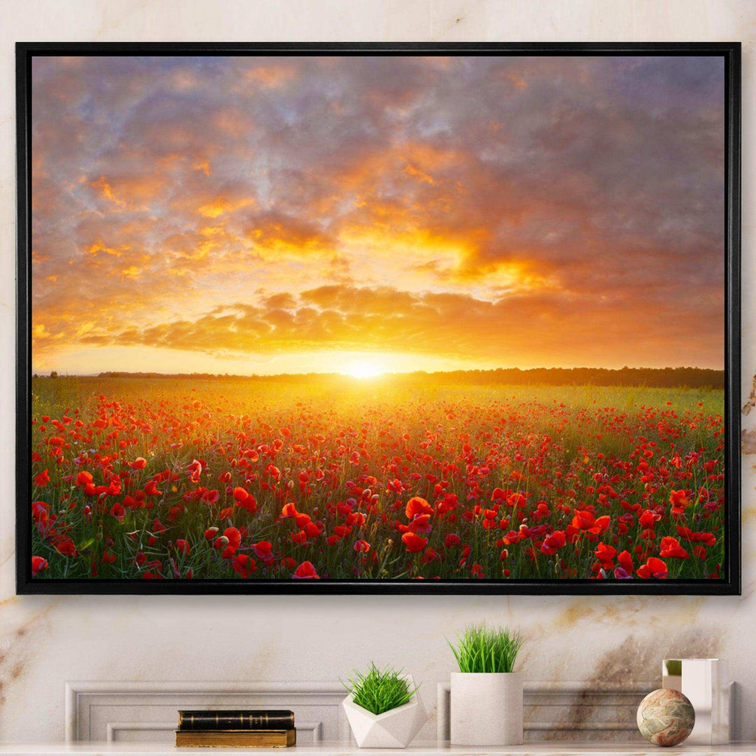 Poppy Field under Bright Sunset