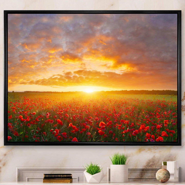 Poppy Field under Bright Sunset