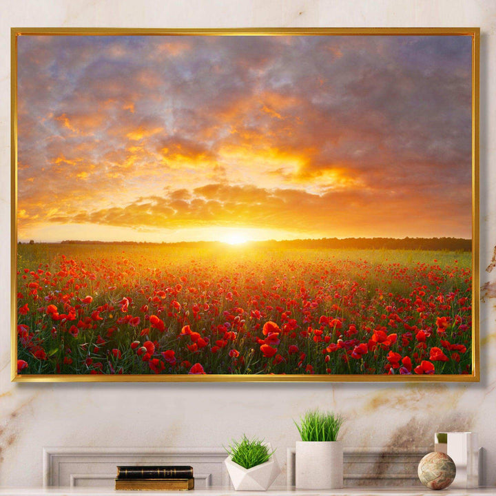 Poppy Field under Bright Sunset