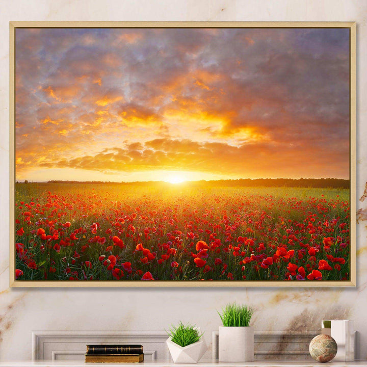 Poppy Field under Bright Sunset