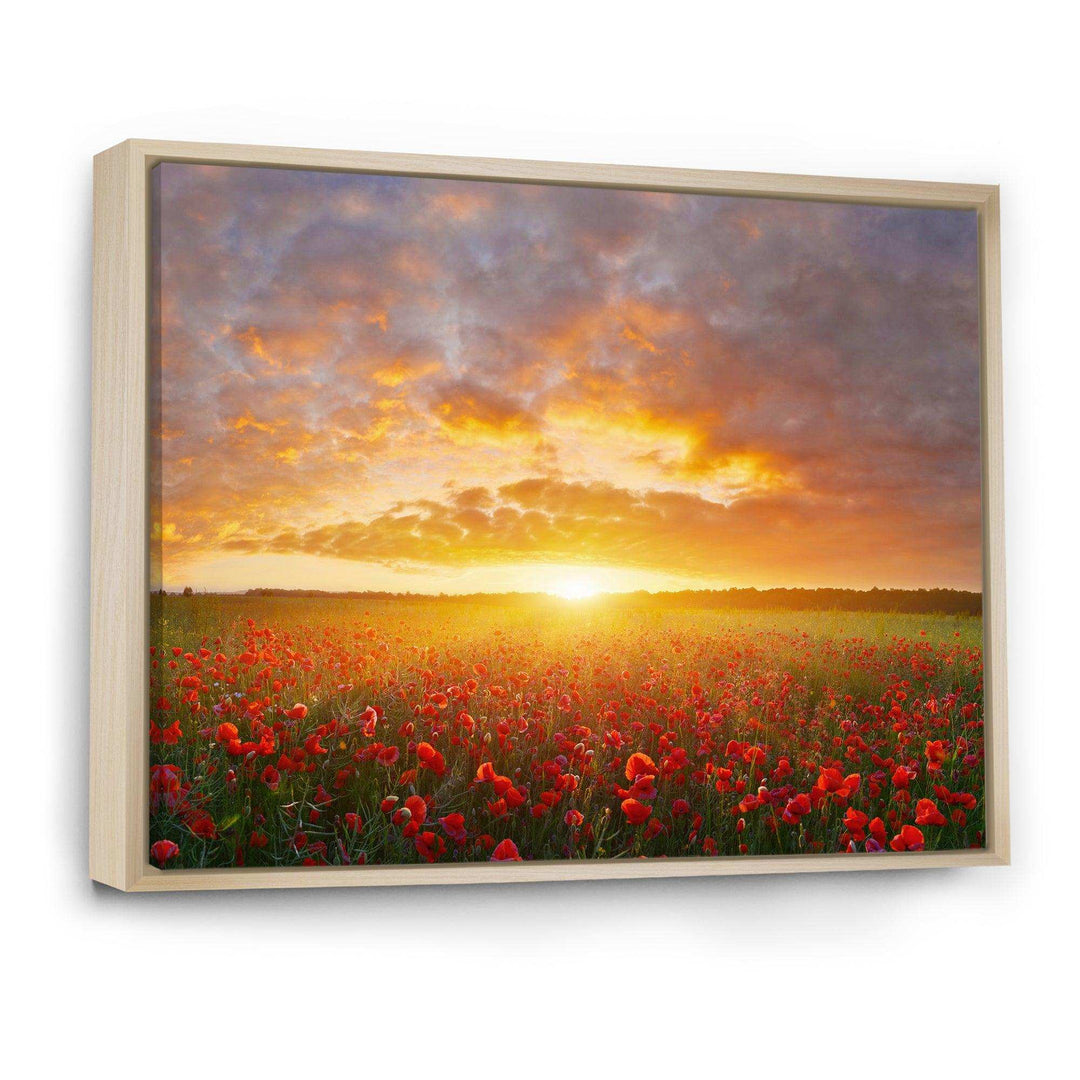 Poppy Field under Bright Sunset
